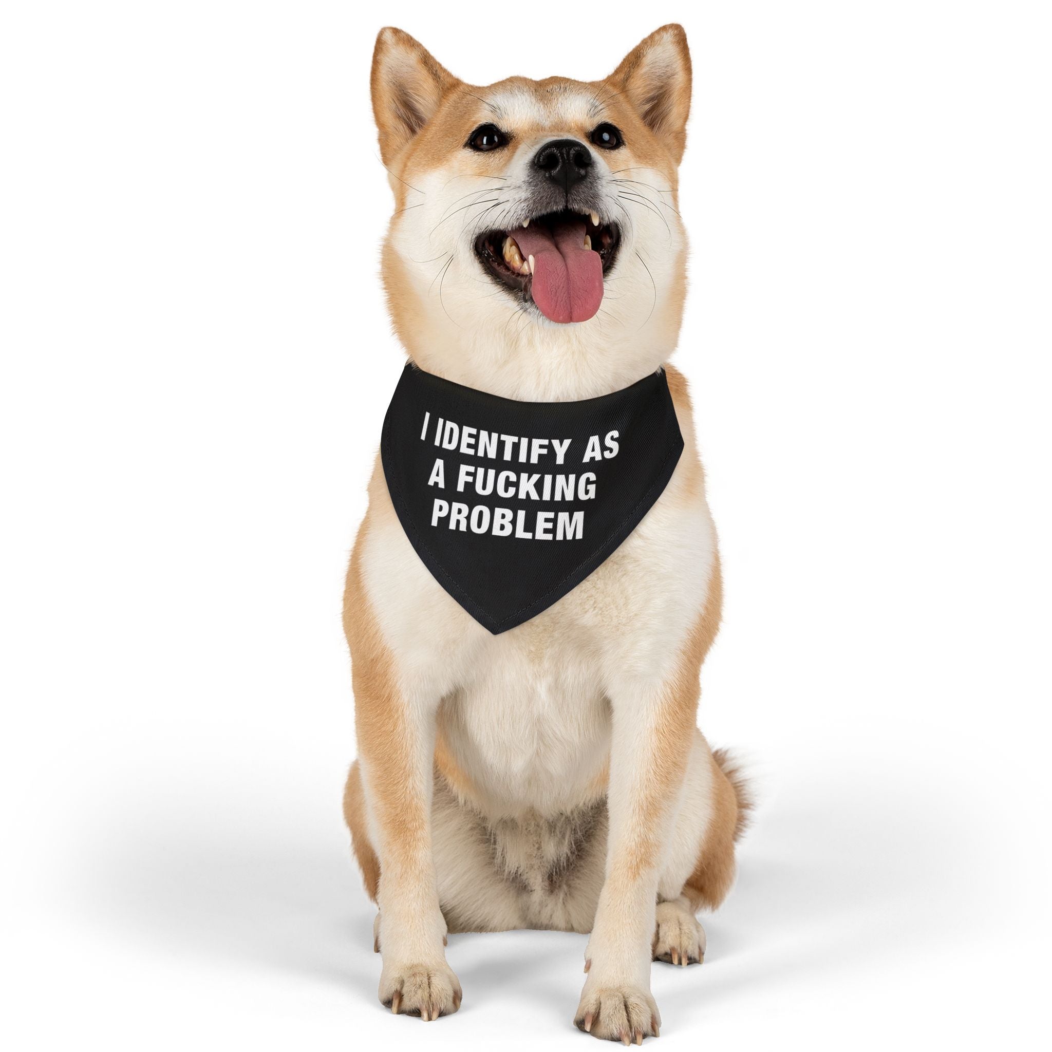 Problematic Identity Pet Bandana Collar