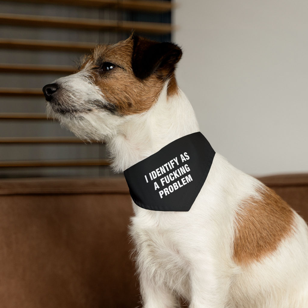 Problematic Identity Pet Bandana Collar