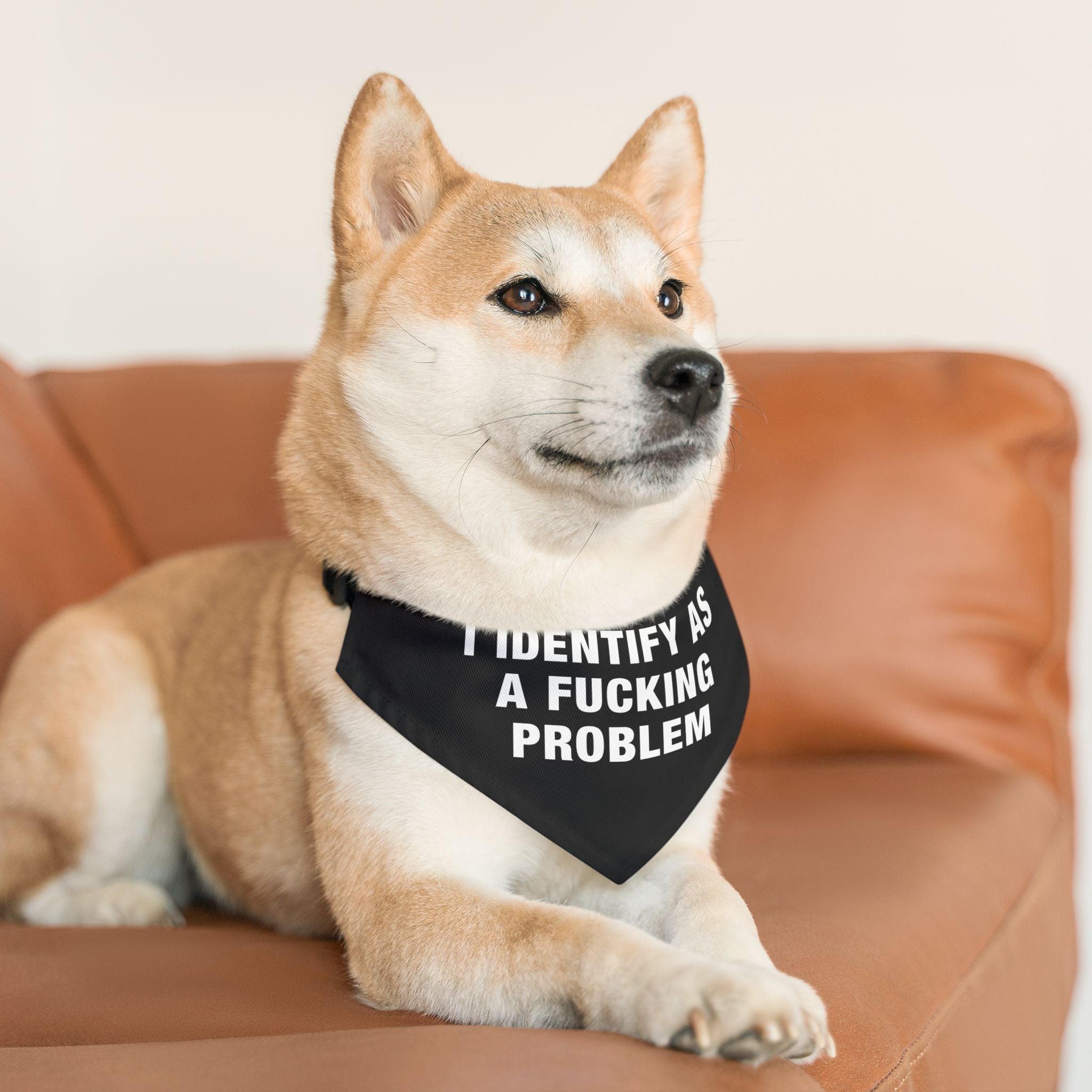 Problematic Identity Pet Bandana Collar