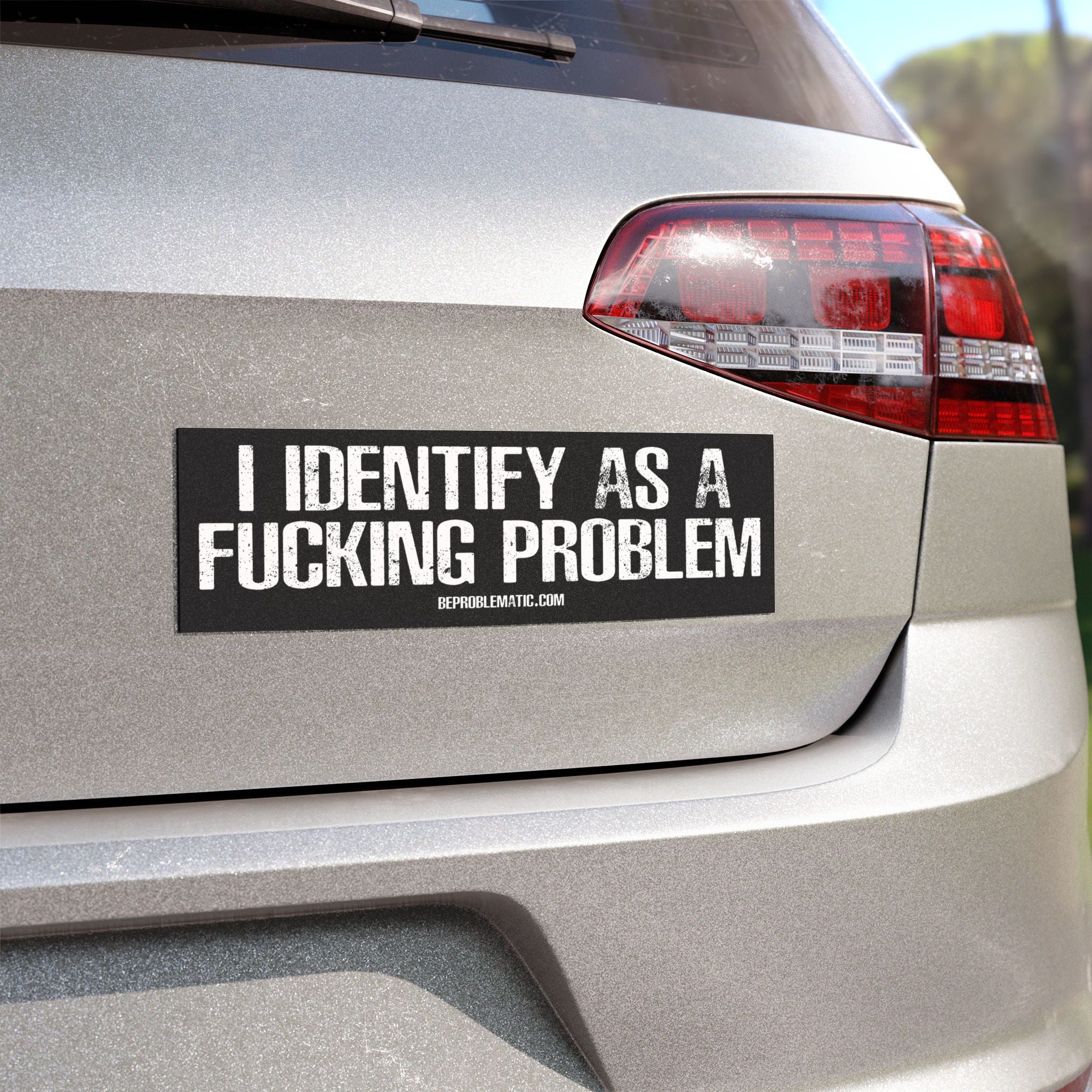 Problematic Identity Car Magnet