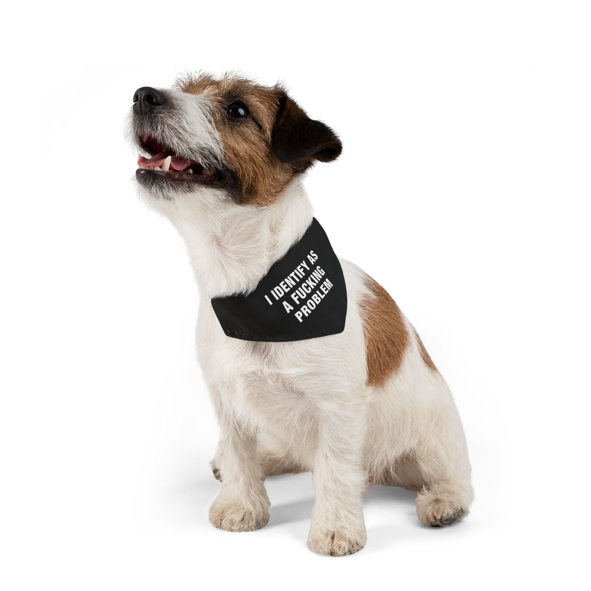 Problematic Identity Pet Bandana Collar